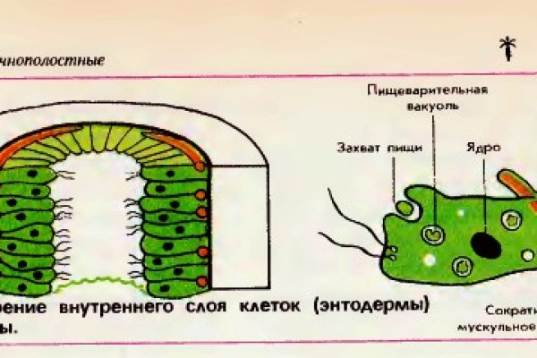 Кракен заблокировали