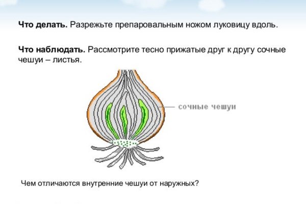 Ссылки на даркнет