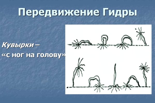 Kraken россия