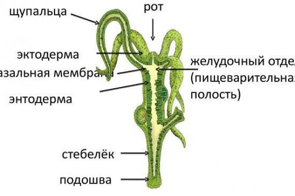 Кракен сайт нарк