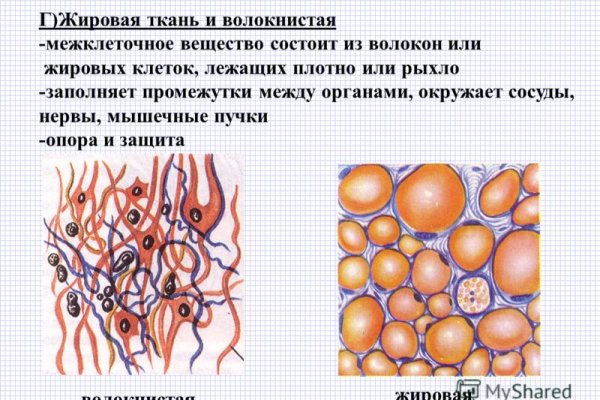 Кракен даркнет сайт